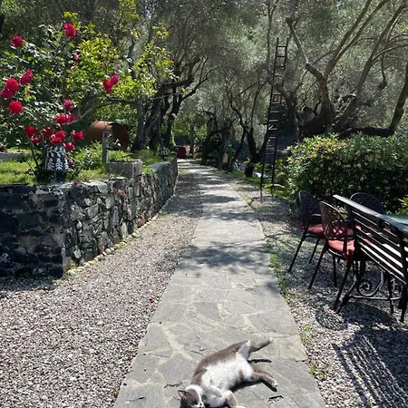 Belvedere Bonassola