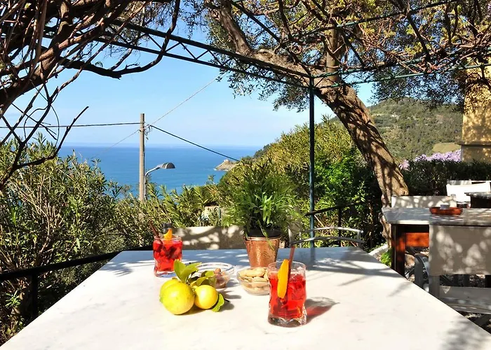 Hotel Belvedere