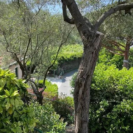 Otel Belvedere Bonassola