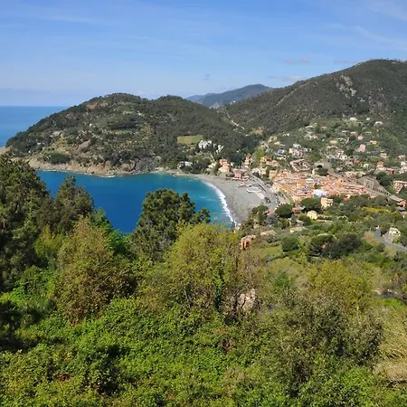 Belvedere 3*