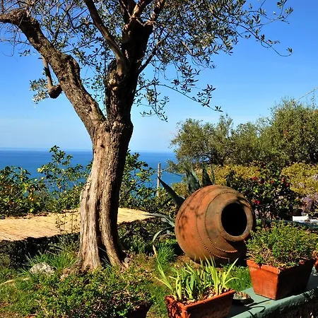 Belvedere Otel