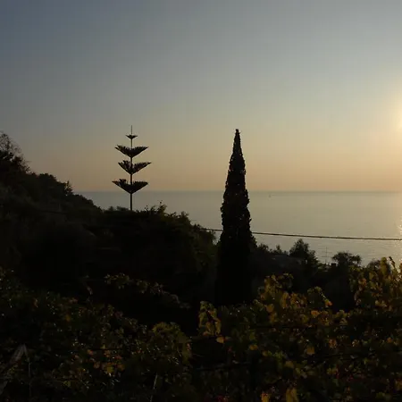 Belvedere Otel 3*
