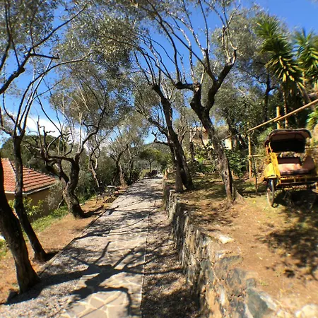 Belvedere 3*