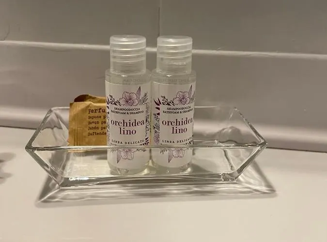 Belvedere 보나솔라