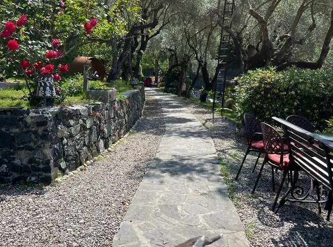 Belvedere بوناسولا