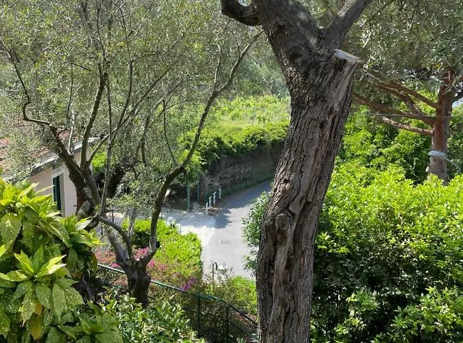 Hotel Belvedere Bonassola