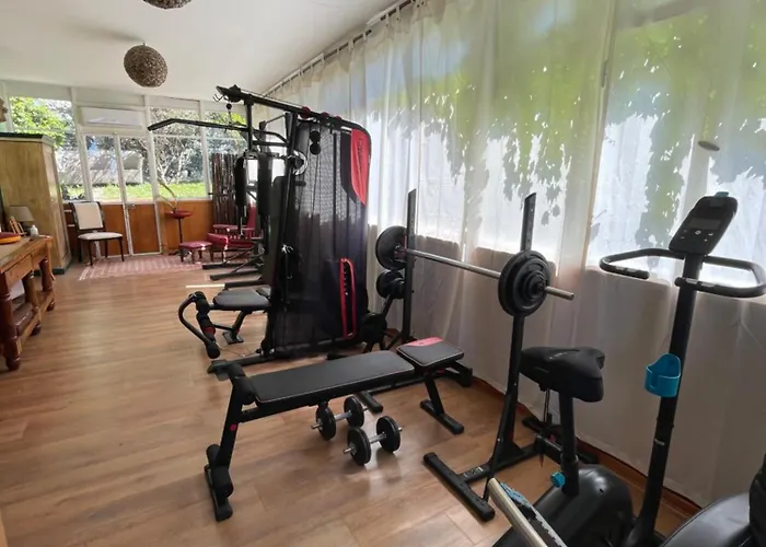 Belvedere 보나솔라