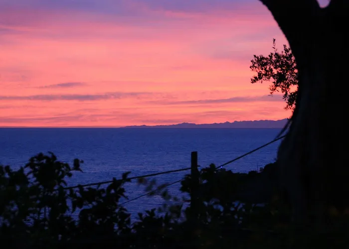 Belvedere 3* 보나솔라