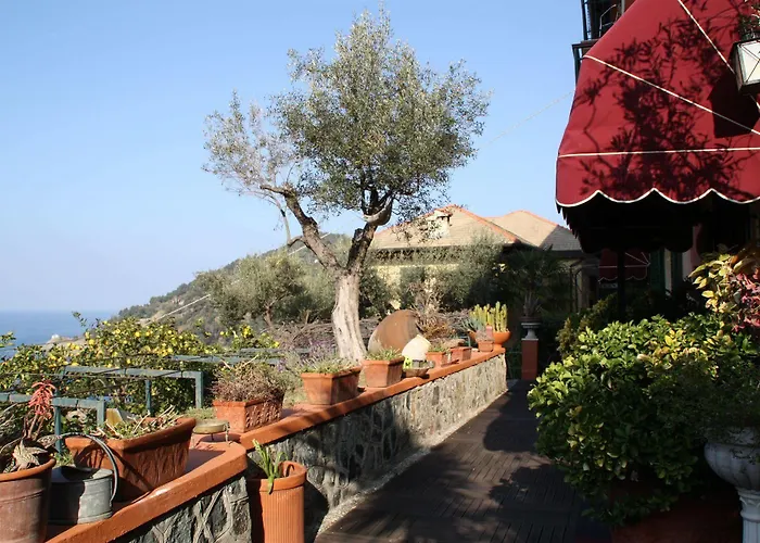 Belvedere فندق