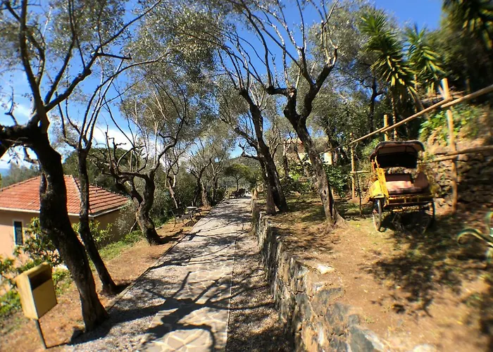 Belvedere 3*